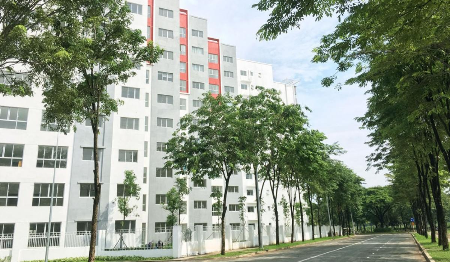 hinh anh thuc te Khu Ruby Precinct